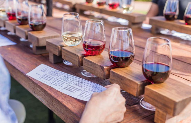 Visite gastronomique sur la Sunshine Coast - Photo 2