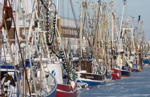 Aparthotel Am Meer - Foto 39