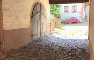 Les Logis du Printemps - Chez l'Alsacien - Photo 51