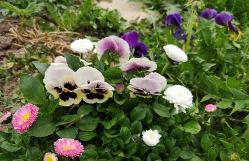 Mazurski Staw - Foto 55