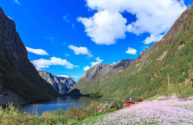 Ferrovia Flam, crociera Nærøyfjorden e punto panoramico Stegastein - Foto 13