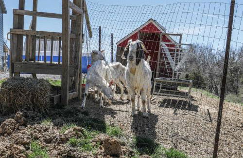 Kimberlys Hope Clark Apt on Farm with Pool Access - Foto 23