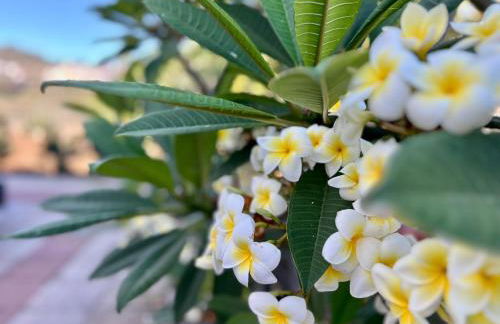 Refugio de la calma - Foto 38