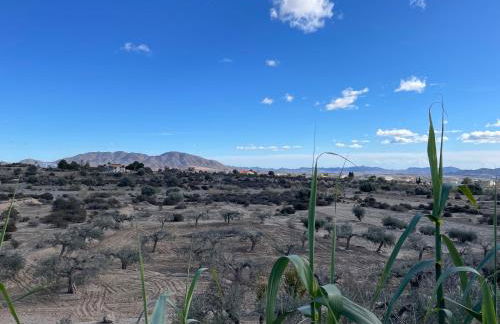 Casita Está Aquí - Foto 24