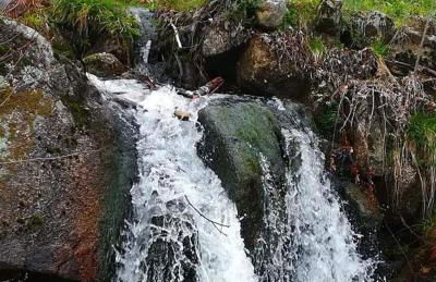 Casa do Eirô - Foto 20