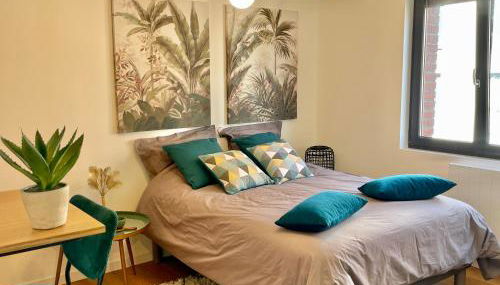 DOWNTOWN COCOON - CENTRE VILLE - WiFi - NETFLIX - Foto 5