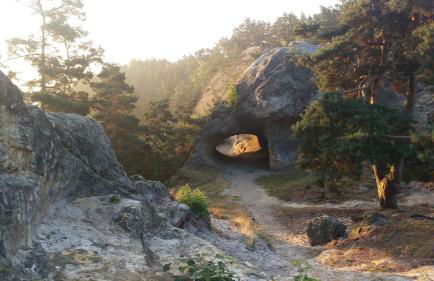 Waldloft - Okertal Goslar Harz - Photo 21