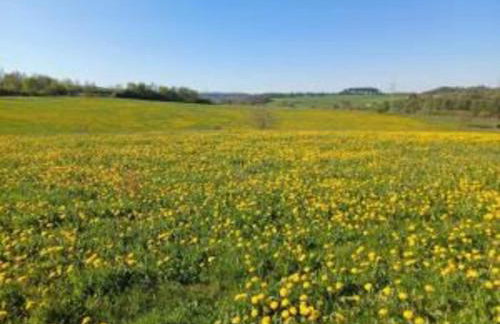 Wohnung in Frankenberg fur Radfahrer - Foto 53
