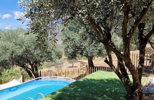 maison du olival - Foto 31