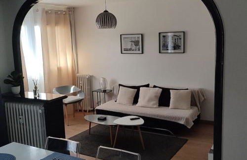 Quartier des emailleurs-T4 avec balcon et garage - Foto 8