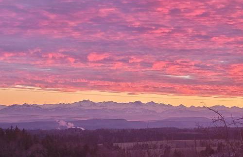 Fischerhof - Foto 31