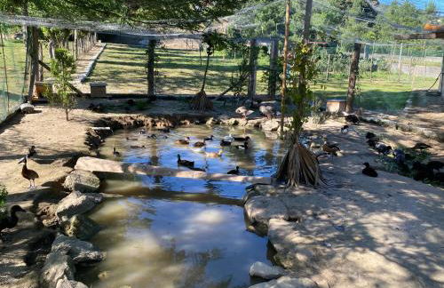 Quinta da Vinha do Souto - Foto 33