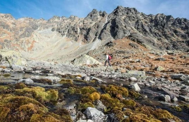 Hotel Crocus - Foto 61