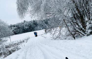 FarmHouse Eckartsberg im Zittauer Gebirge - Gemütliche und moderne Ferienwohnungen mit Terrasse - Foto 46