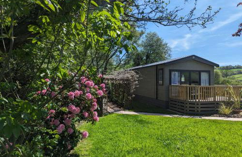 Sarn Y Glyn in Mid Wales Cambrian Mountains near Llanidloes Powys - Photo 18