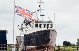 Crown Stables - Foto 28