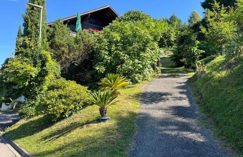 Sonnige Ferienwohnung im Kinzigtal - Foto 35