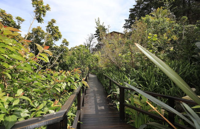 Big Tree House Lodge - Foto 36