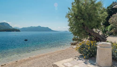 Studio Trstenik 4566b - Foto 4