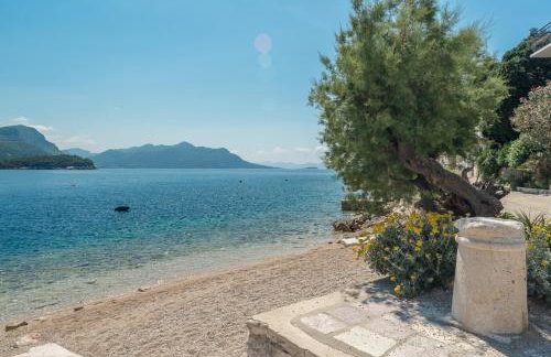 Studio Trstenik 4566b - Foto 4