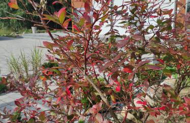 Willa w Brzozach Sznurki Spokojna 1 - Chmielno, Kaszuby, dom, jezioro - Foto 54