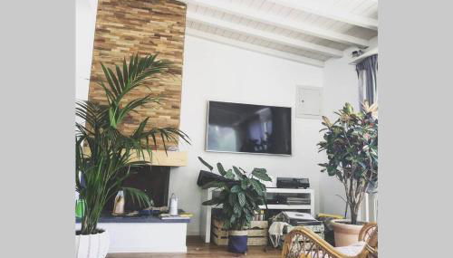 Viareggina con giardino - Foto 2