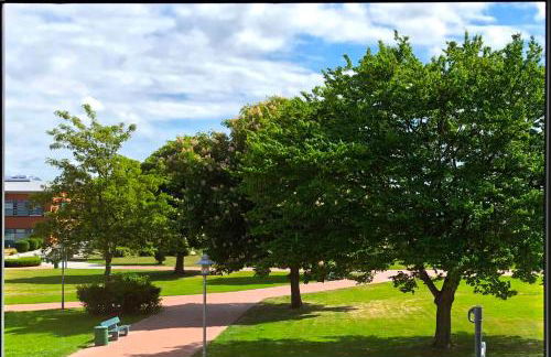 Möwennest - a66129 - Foto 18