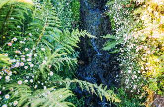 Montanhas do Xisto - Solar do Xisto Poente - Foto 31