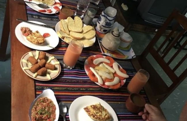 Holiday rental in Havana with garden and terrace - Photo 10