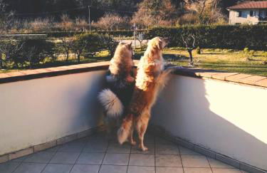 Domus Laetitiae Santa Croce - Foto 20