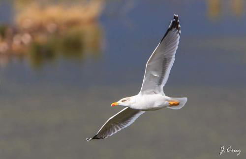 Amalur EBI 741 URDAIBAI - Photo 68