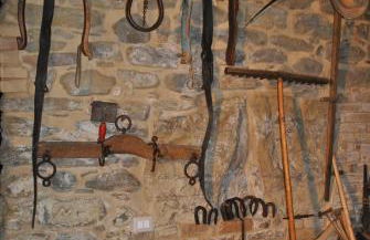 Agriturismo La Filomena - Foto 23