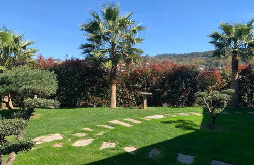 Quinta de Santa Ana, em Vizela - Foto 64