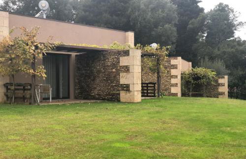 Bosque da Harmonia - Foto 50