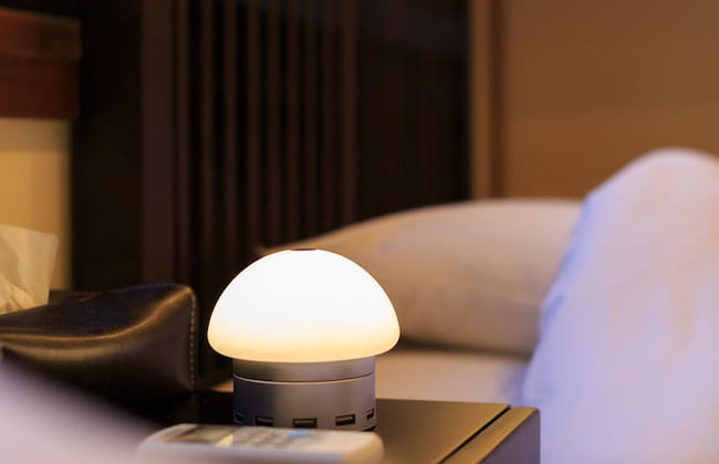 Kanazawa no yado Ikedaya - Foto 37