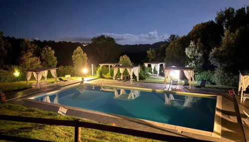 Agriturismo La Burraia vicino a San Gimignano-Air conditioning-EV wallbox - Foto 4