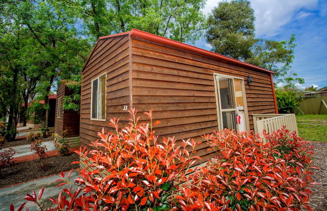 Albury Gardens Tourist Park - Photo 22