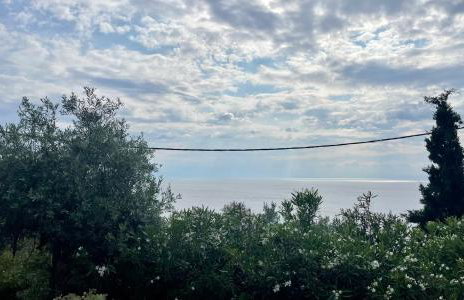 Iris Sea View Villa - Photo 51