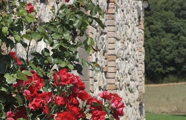 Verdidea - Bagnoletto - Foto 72