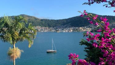 Casinha verde - Foto 3