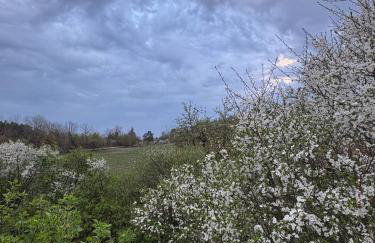 Agroturystyka Żółta Ostoja - Foto 24