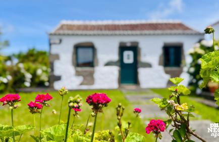 Casa da Serreta by PontaNegraAzores - Foto 22