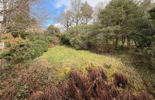 Pinewood Lodge - Foto 2