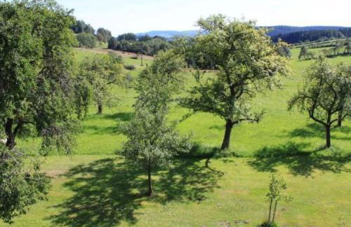 Apartment Wildfeuer by Interhome - Foto 19