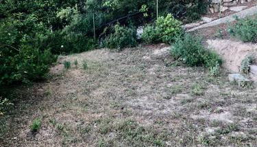 Terrasse, vue & Parking - Carnaval à pied - Foto 3, Garden