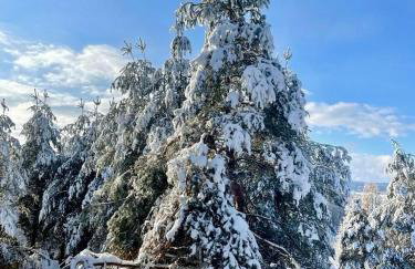 Jurkowa Wola - Foto 39