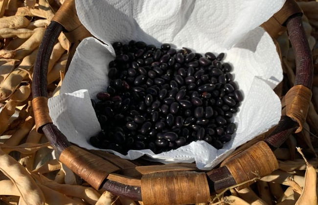 Agroturismo Urresti - Foto 32