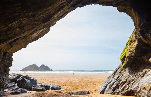 Copper Tree - Foto 43