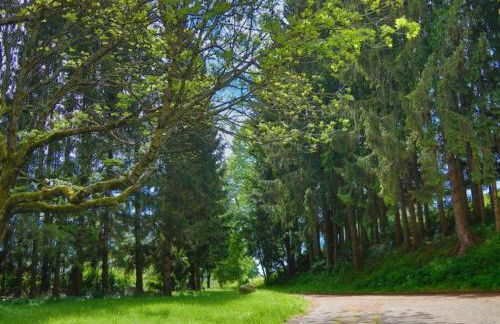 Elegante Ferienwohnung im Schwarzwald, Gorwihl - Foto 47