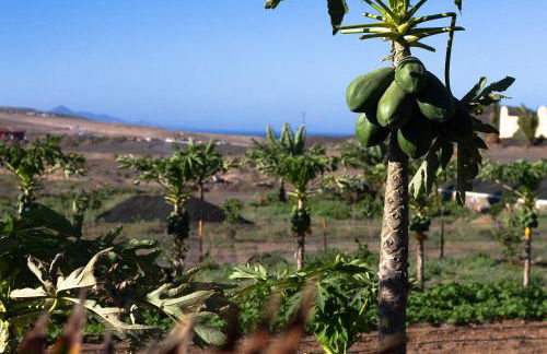 Finca Arbequina - Photo 75